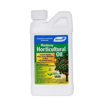 Monterey 16oz Hort Oil Conc (6/CS)