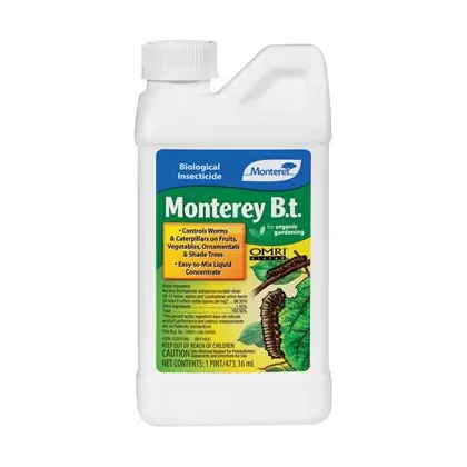 Monterey Pt B.t. Bacillus thuringiensis Biological Insecticide BT