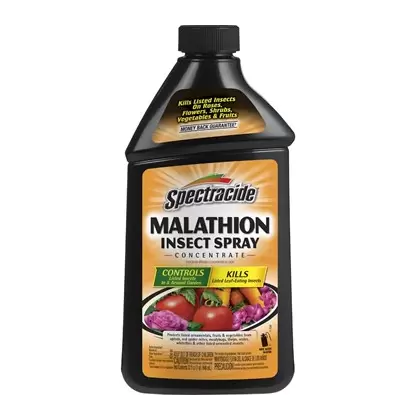 Spectracide 32oz Malathion Insecticide Concentrate