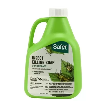 Safer 16oz Flower & Gard Insect Soap Conc 6/CS