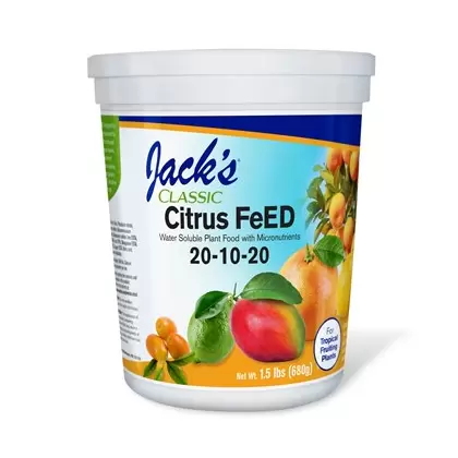 Jacks Classic 1.5