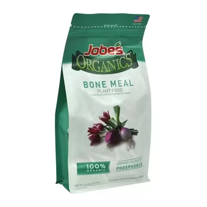 Jobes 4