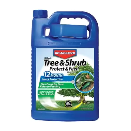 BioAdvanced 1gal 12 Month Tree & Shrub Protect & Feed Concentrate *OK for NY* (Keywords: Bayer )