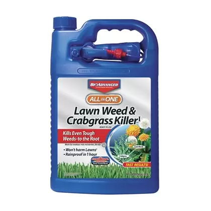 BioAdvanced 1gal All-In-One Lawn Weed & Crabgrass Killer RTU (Keywords: Bayer )