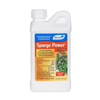 Monterey Pt Spurge Power Oxalis Clover Dandelion (6/CS)