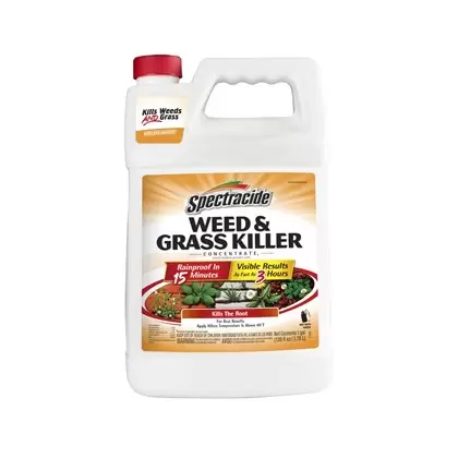 Spectracide 128oz Concentrate2 Weed & Grass Killer