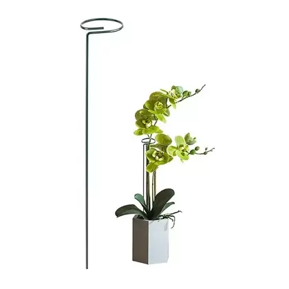 Gardener Select 2" Flower Support with 24" Leg Green