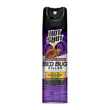 Hot Shot 17.5oz Bed Bug Killer Aerosol Spray