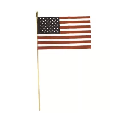 FlagZone 8"x12" US Hand Flag