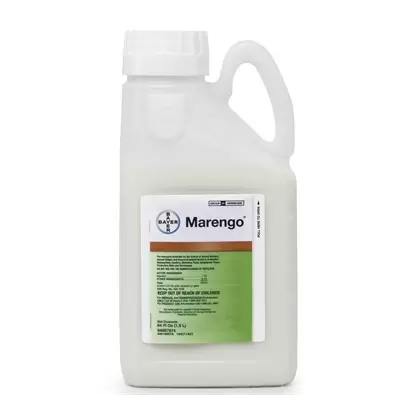 Bayer Envu Marengo SC .5Gl (4/CS) AGENCY