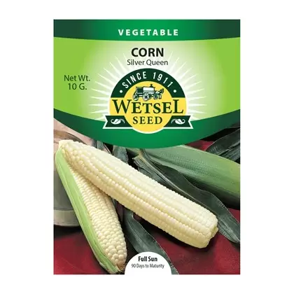 Corn, Silver Queen - 10 Gram