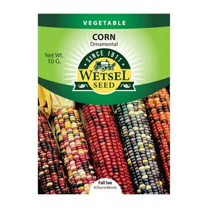 Corn, Ornamental - 10 Gram