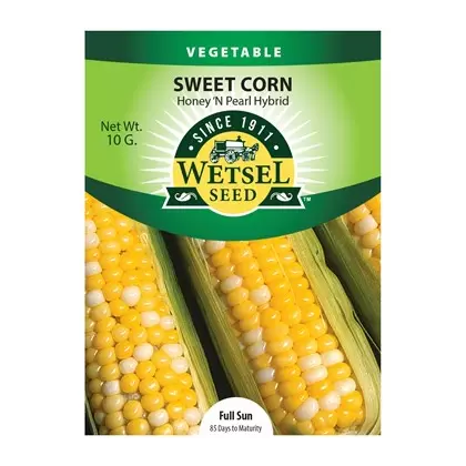 Corn, Honey-N-Pearl - 10 Gram