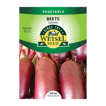 Beets, Cylindra - 4.5 grams