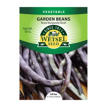 Beans, Royal Burgundy Bush - 10 Gram