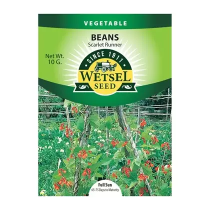 Beans, Scarlet Runner Pole - 10 Gram
