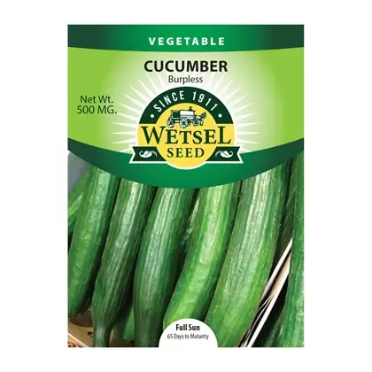Cucumber, Burpless