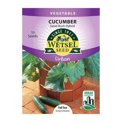 CUCUMBERS, SALAD BUSH 10 SEEDS