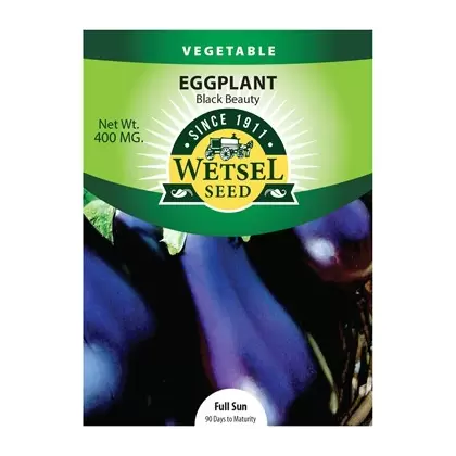 Eggplant, Black Beauty - 400 Mg