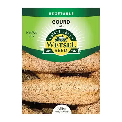 Gourds, Luffa - 2 Gram