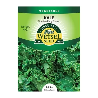 Kale, Early Curled Siberian - 4 grams
