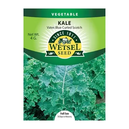 Kale, Vates Blue Curled Scotch - 4 grams