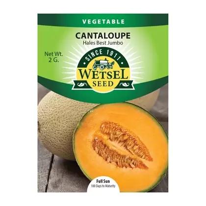Cantaloupe , Hales Best Jumbo - 2 G