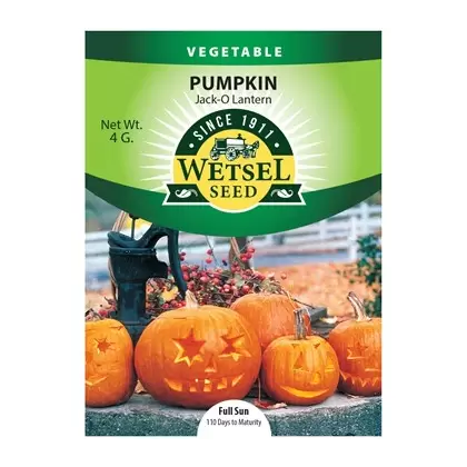Pumpkin, Jack-O Lantern - 4 Gram