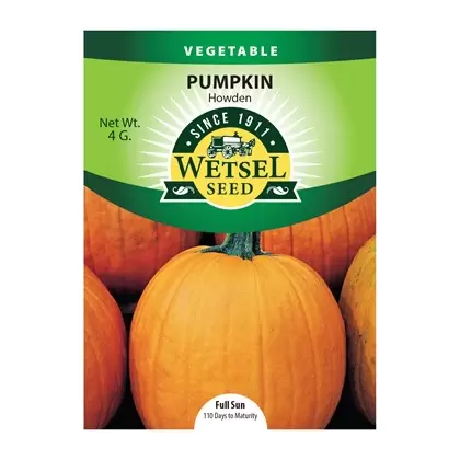 Pumpkin, Howden - 4 Gram