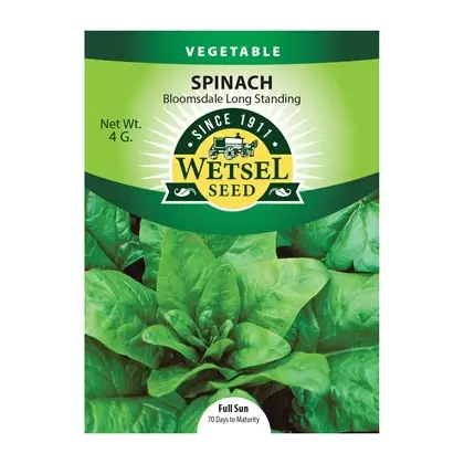 Spinach, Bloomsdale Long Standing - 4 grams
