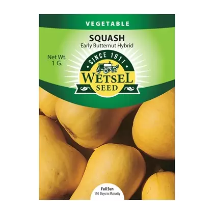 Squash, Early Butternut Hybrid - 1 Gram