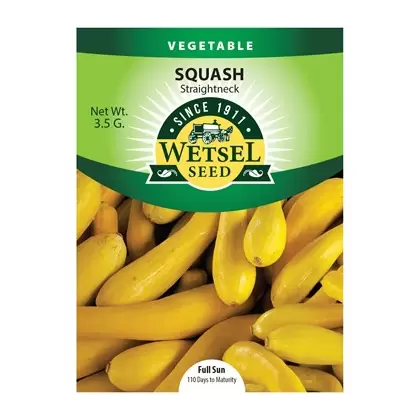 SQUASH, STRAIGHTNECK 3.5 G