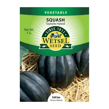 Squash, Taybelle Hybrid - 1 Gram
