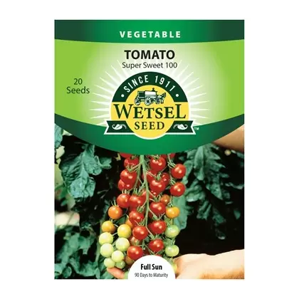 Tomato, Super Sweet 100 - 20 Seeds