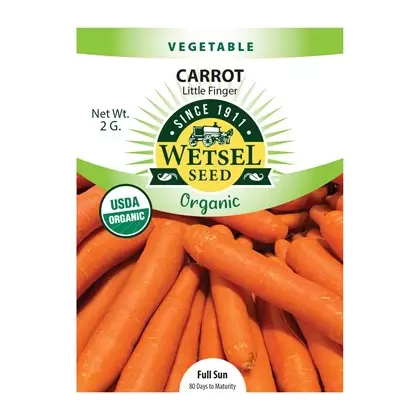 Organic Little Finger Carrot - 2 Gram