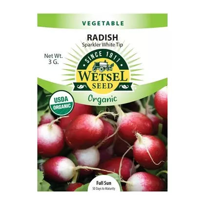 Organic Sparkler White Tip Radish - 3 Gram