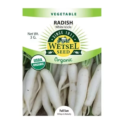 Organic White Icicle Radish - 3 Gram