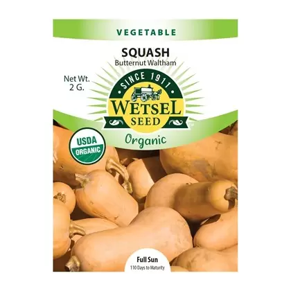 Organic Butternut Waltham Squash - 2 Gram