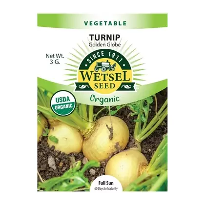 Organice, Golden Globe Turnip - 3 Gram