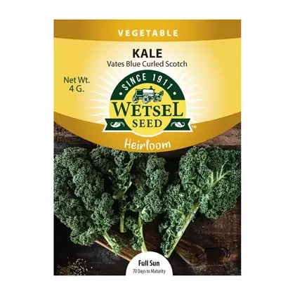 Heirloom, Vates Blue Curled Kale 4gram
