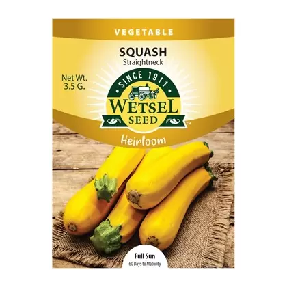 HEIRLOOM, SQUASH STRAIGHTNECK 3.5GM