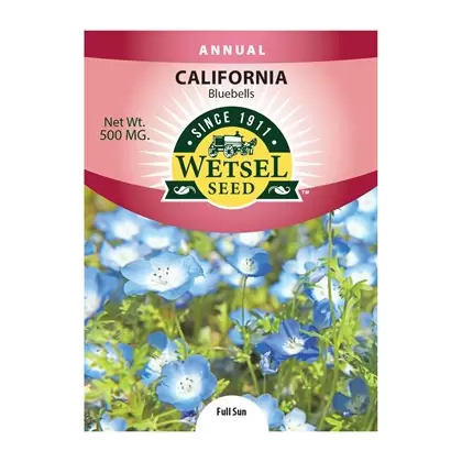 CALIFORNIA BLUEBELLS - 500 MG
