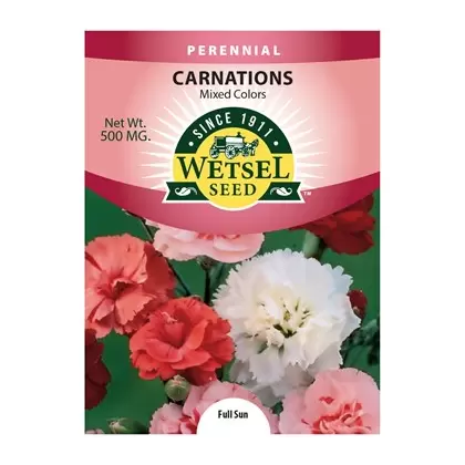 Carnations, Mixed - 500 mg