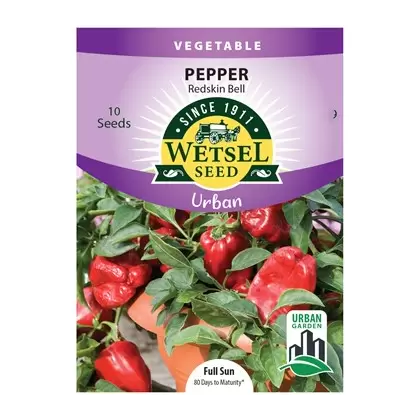 Pepper, Redskin Bell (patio) - 10 Seeds