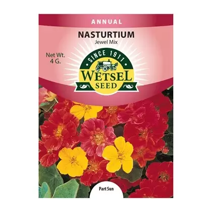 Nasturtium, Jewel Mix - 4 Gram