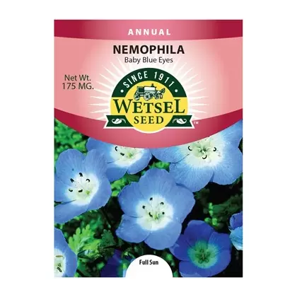 NEMOPHILA, BABY BLU EYE 175 MG