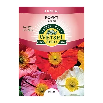 POPPIES, ICELAND 175 MG