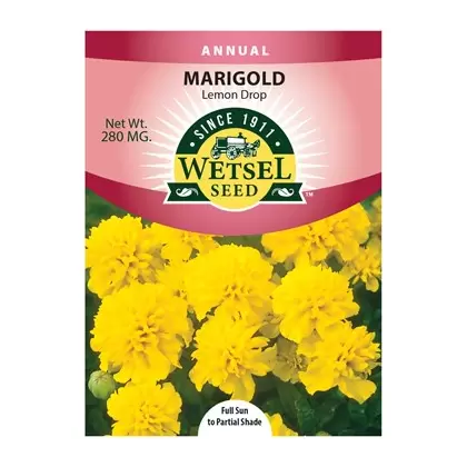 MARIGOLD, LEMON DROP 280 MG