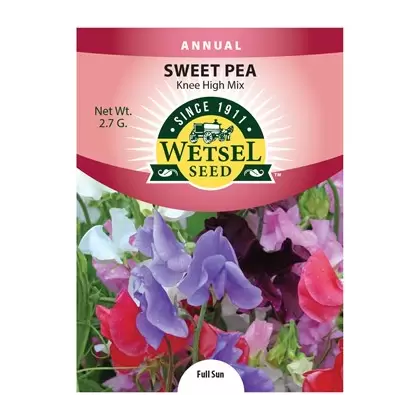 SWEET PEA, KNEE HIGH MIX PKT