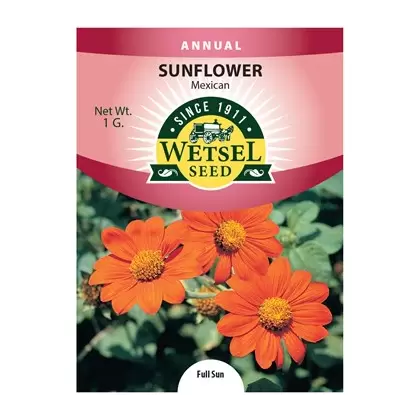 SUNFLOWER, MEXICAN 1G